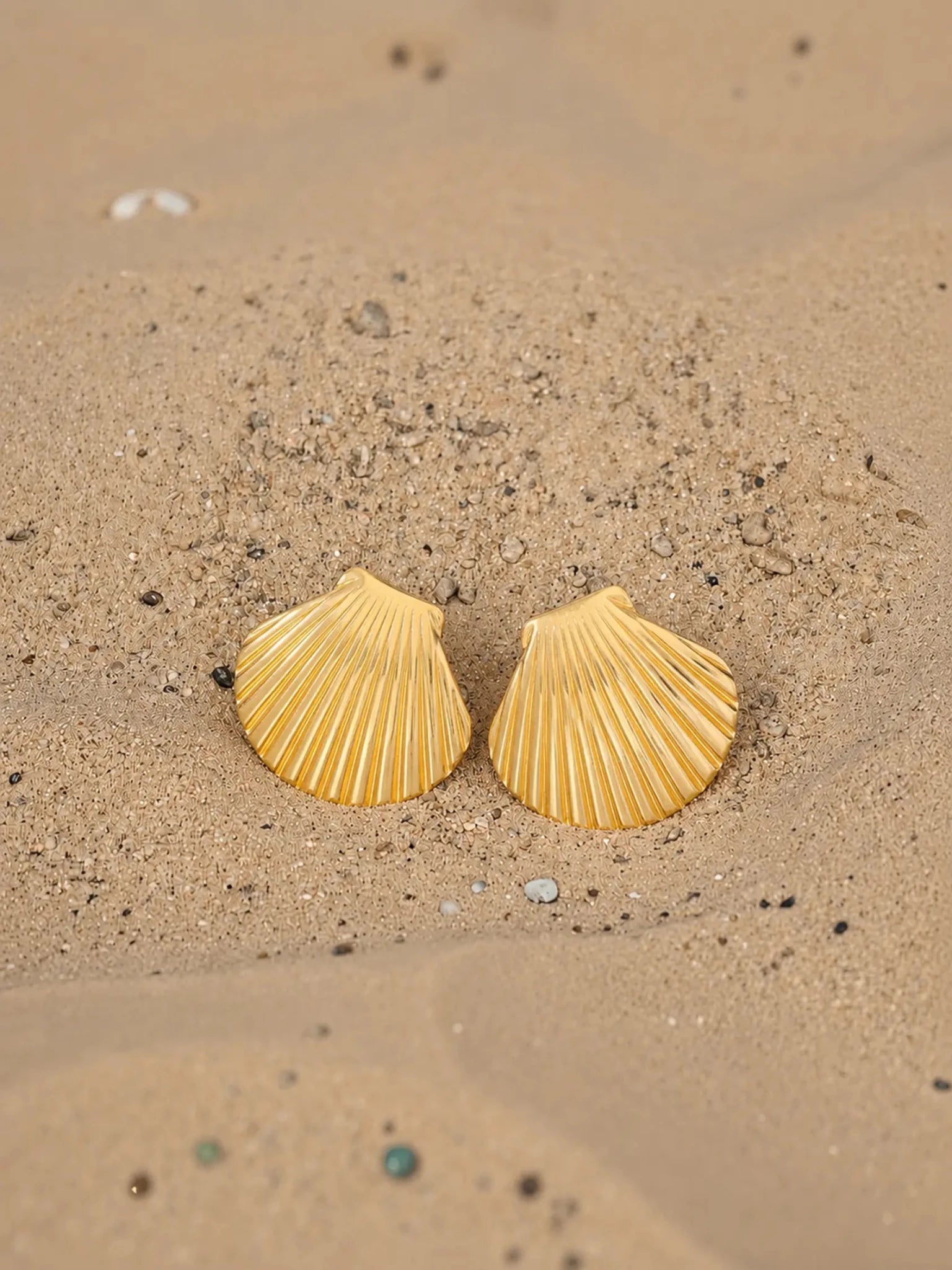 Image of Coastal Seashell Stud Earring - Venyora Fashion
